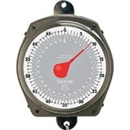 TAYLOR Taylor 3470 Hanging Scale, 70 lb Capacity, Analog Display, Steel, Enamel-Coated 3470